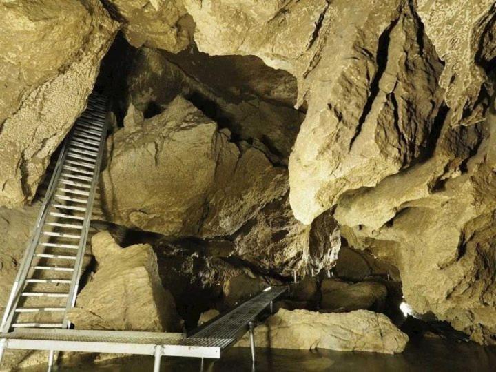 Penzion Kamzik A Drevenica Habovka Bagian luar foto